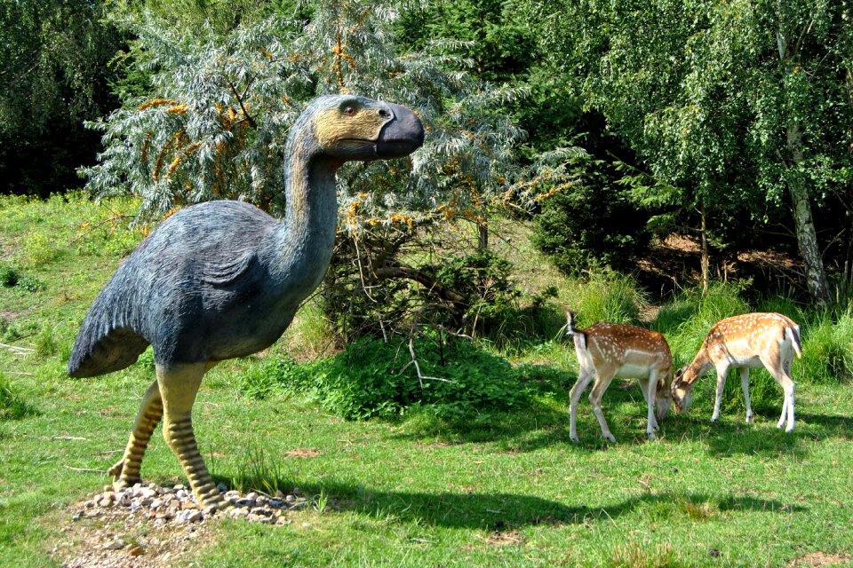 Primitive bird urzeittier deer