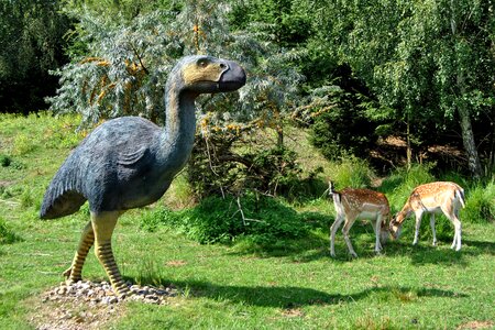 Primitive bird urzeittier deer