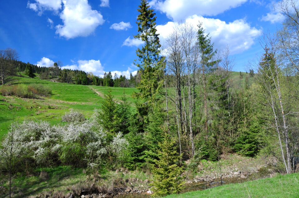 Landscape green mountains