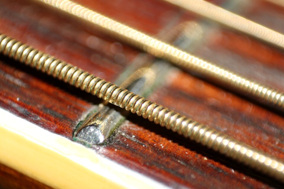 Stringed instrument close up acoustic guitar
