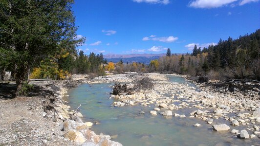 River woods landscape