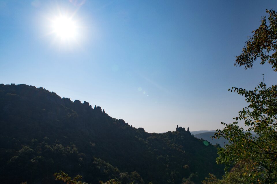 Summer burgruine forest