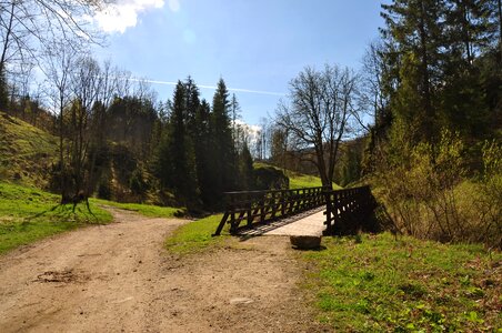 Nature wooden bridge landscape