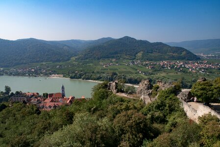Sky forest danube