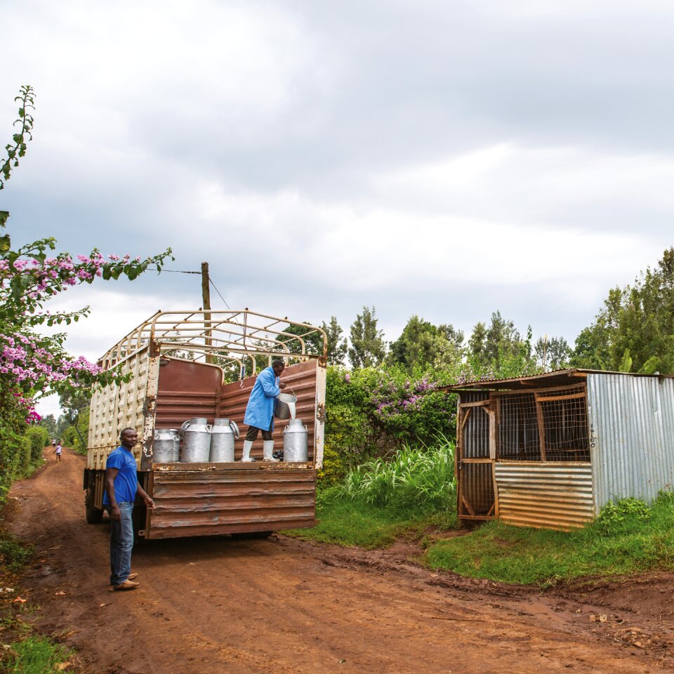 Agriculture milk collectors