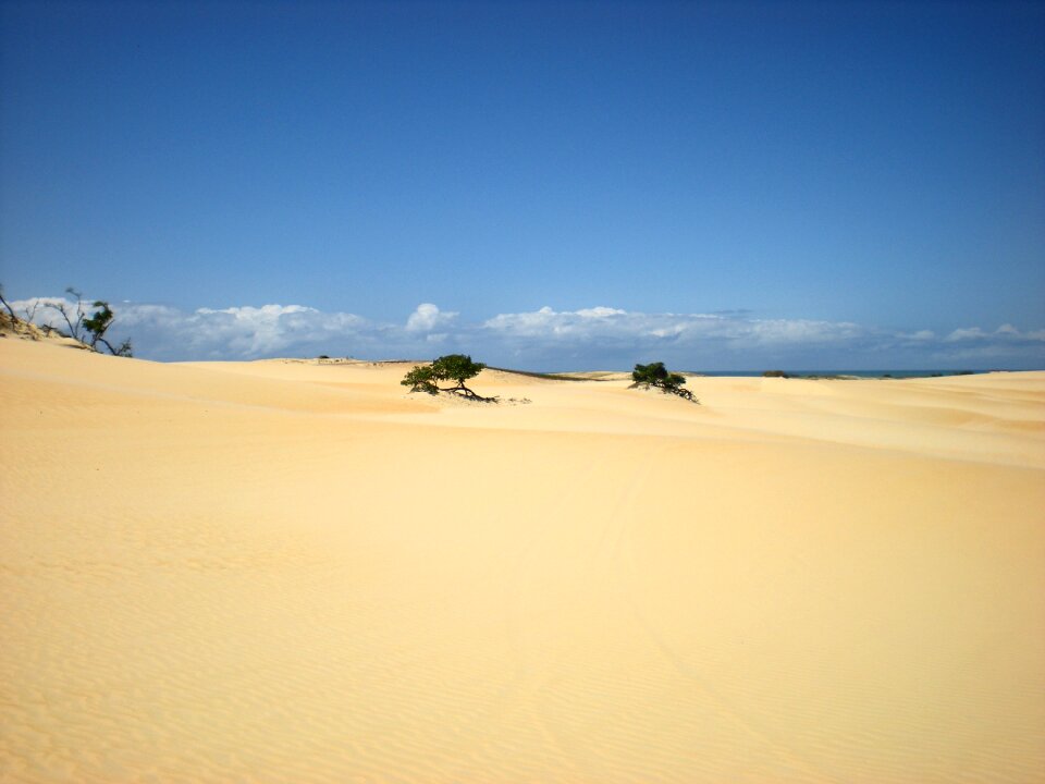 Sand light nature