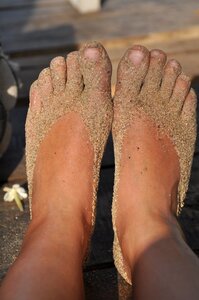 Foot barefoot summer photo
