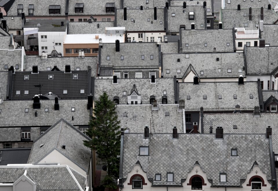 Roof house overview