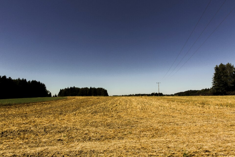 Landscape nature agriculture