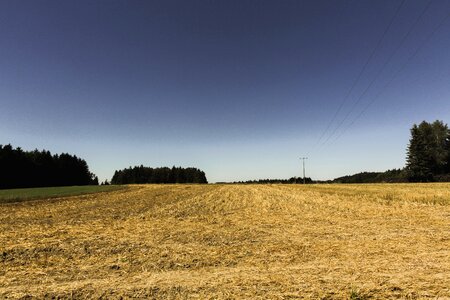 Landscape nature agriculture photo