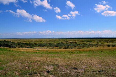 Coast borkum nature reserve
