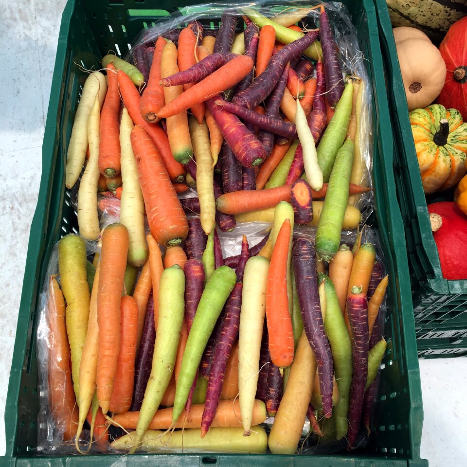 Healthy harvest food