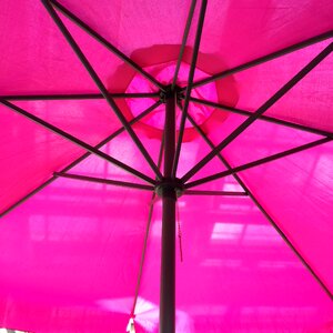 Travel shade tree colorful umbrella