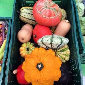 Orange vegetables farmer's market photo