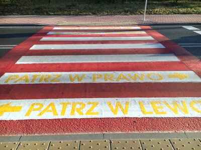 Pedestrians transition zebra