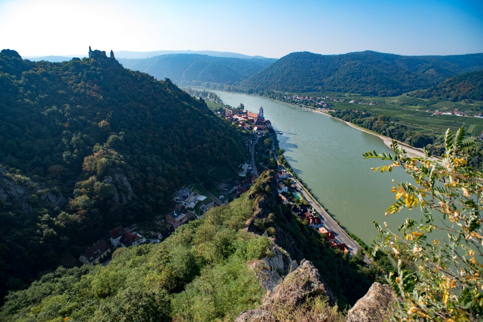 Summer burgruine forest