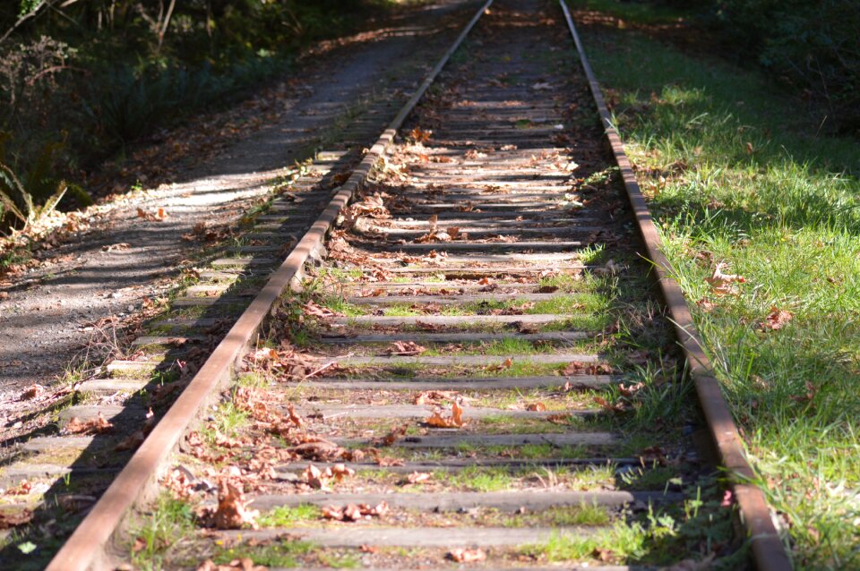 Railroad train tracks leaves