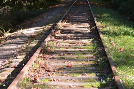 Railroad train tracks leaves photo