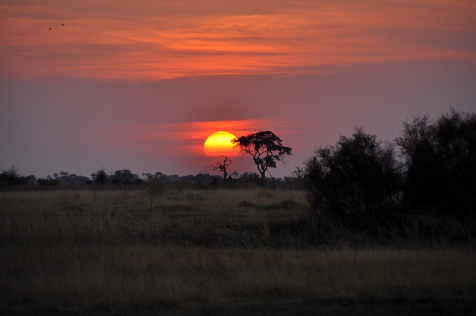 Sunset botswana okavango