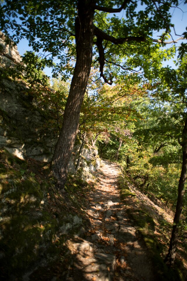 Steinig climbing landscape photo