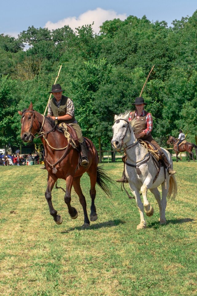 Cowboys maremma nature