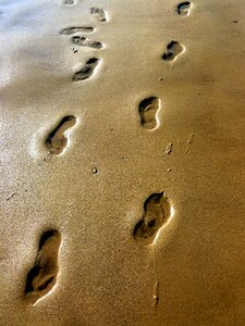 Tracks in the sand feet nature