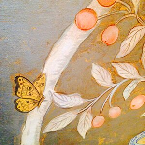 Butterfly drawing