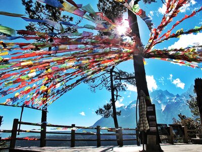China colorful hope traditional tree
