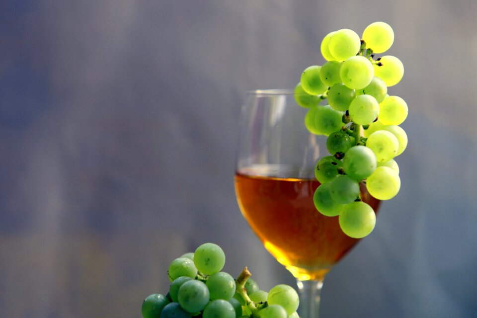 Healthy food natural a glass of
