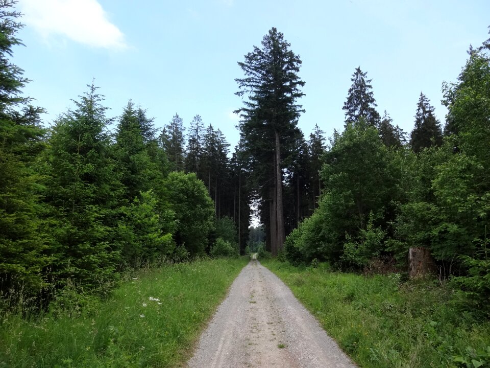 Lane track adventure