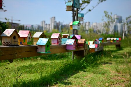 Sky house houses