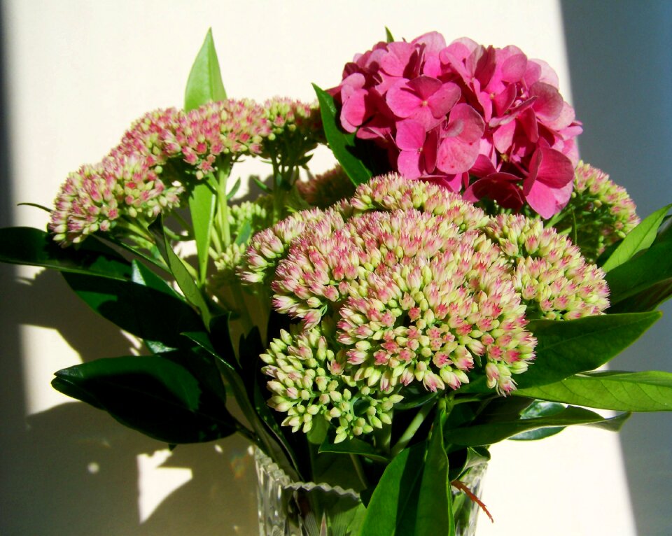 Flower bouquet pink flowers cut flower
