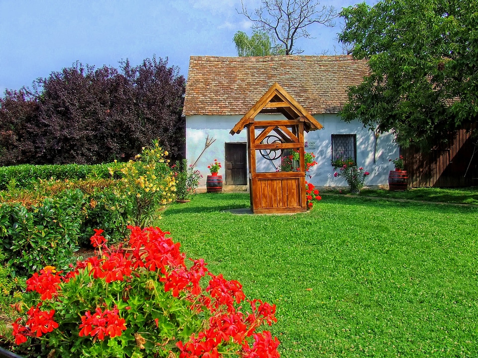 Cottage well flowers