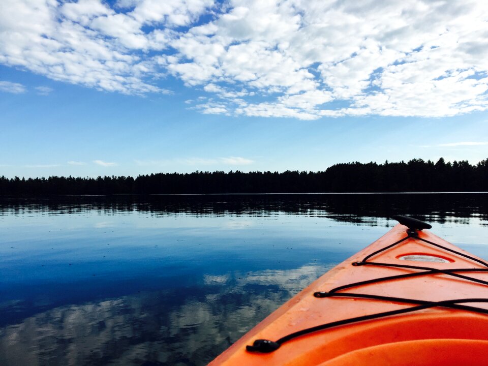 Water clouds