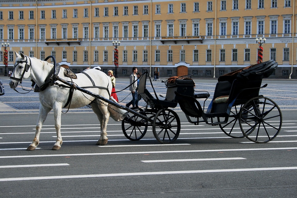 White parked palace square