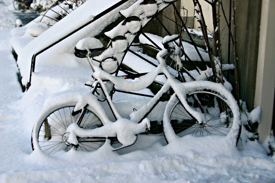 White nature season