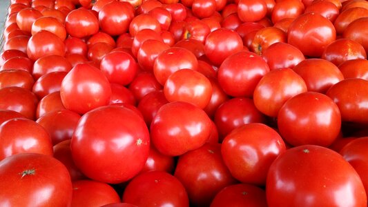 Vegetable fresh vegetarian photo