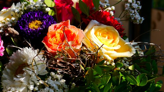 Roses colorful still life
