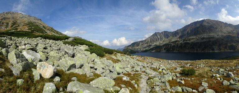 Nature landscape the national park