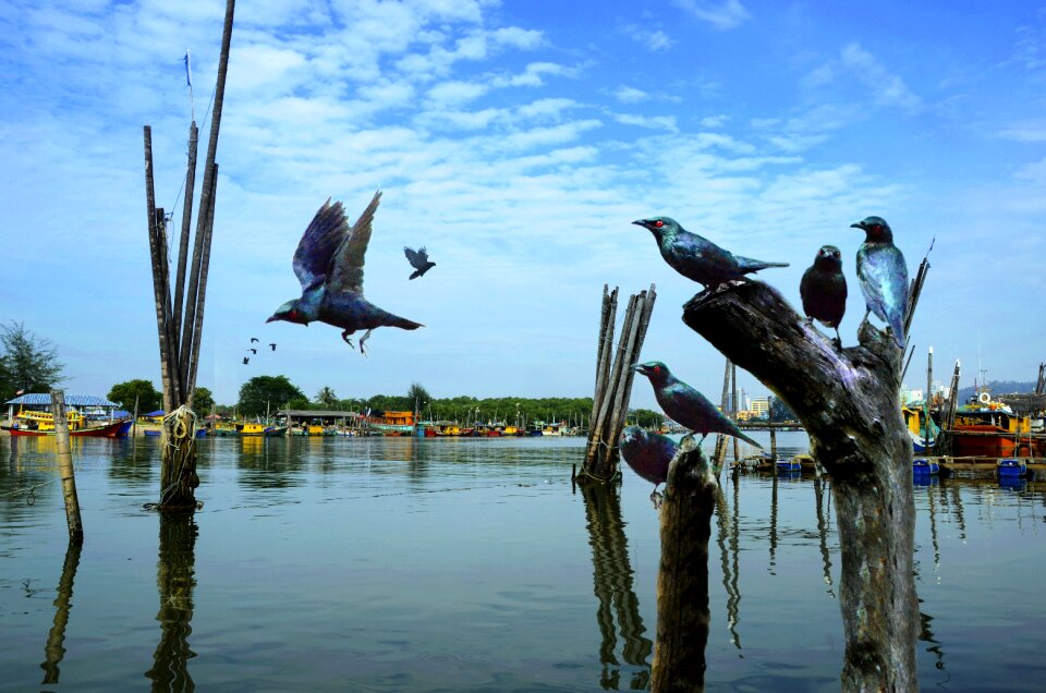 Nature landscape travel