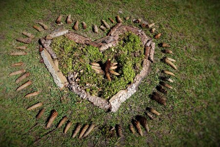 Meadow wood love
