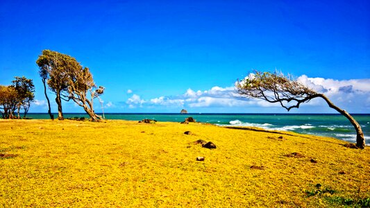 Guadeloupe sea sand photo
