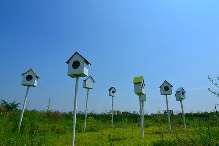 Sky house houses photo