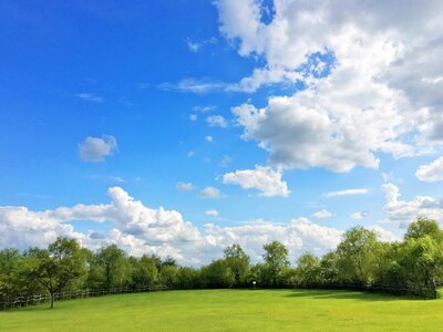 Wood meadow field photo