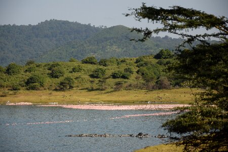 Lakes landscape green