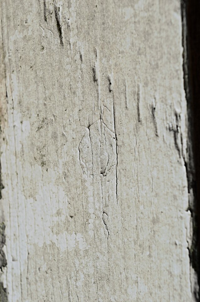 Wooden beam beams bar