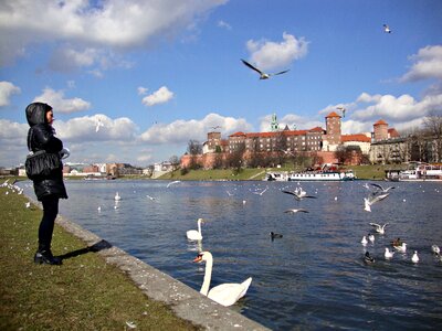 Wawel architecture monument photo