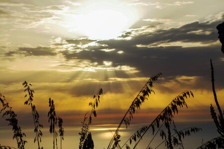 Sea summer landscape photo