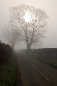 Road fog early morning
