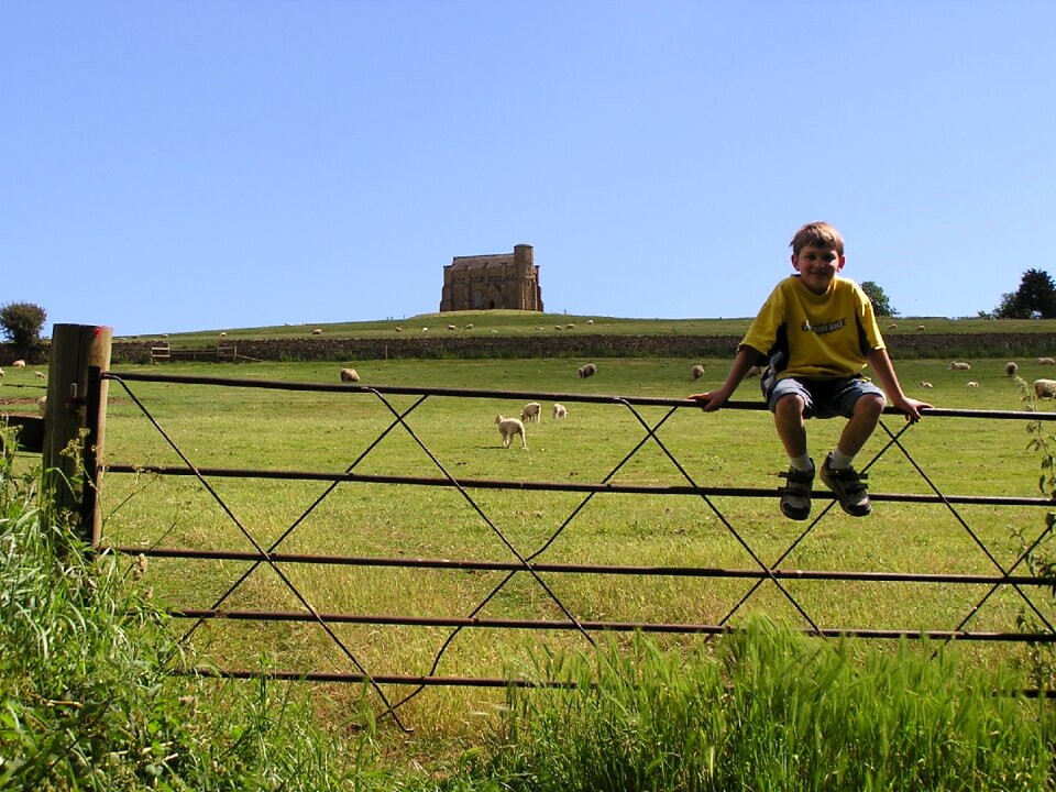 Agriculture field meadow